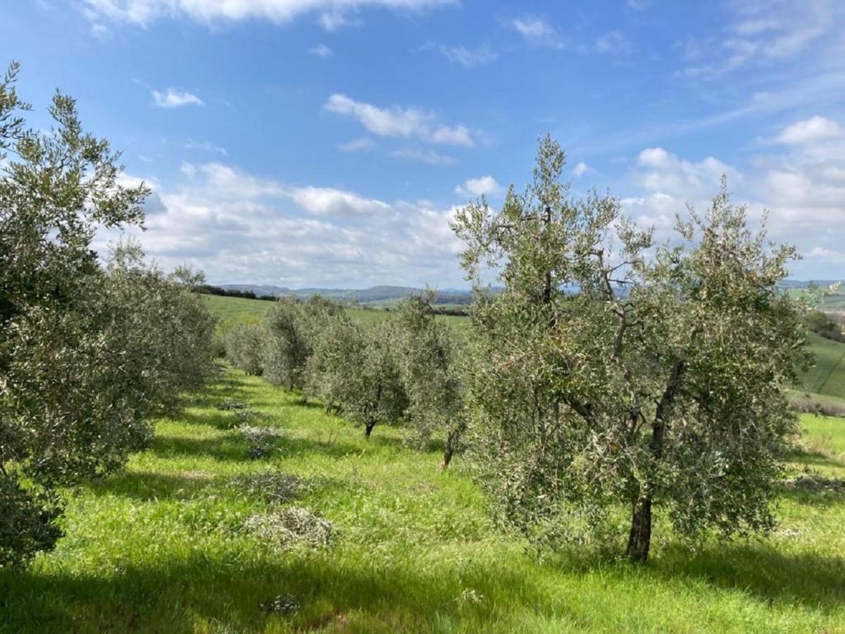 Bio Agriturismo Il Torrione Saturnia Exterior foto