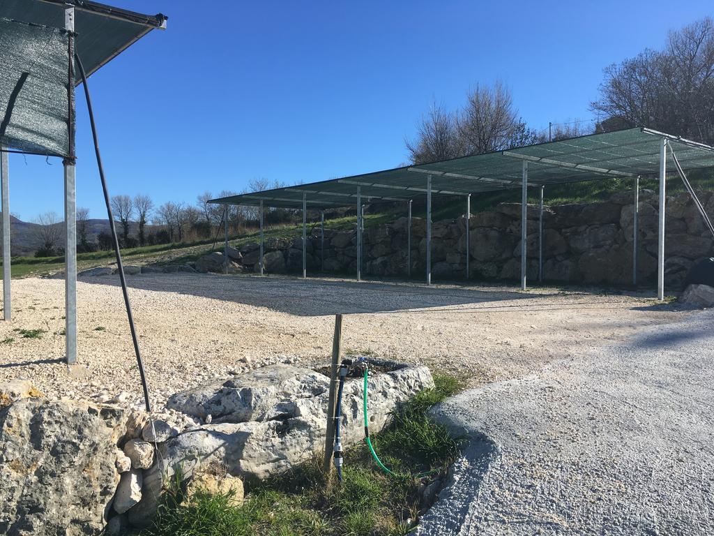 Bio Agriturismo Il Torrione Saturnia Exterior foto